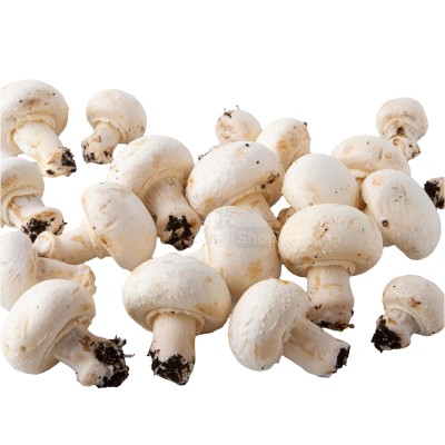 Шампиньоны свежие 500 г - купить в Тюбе